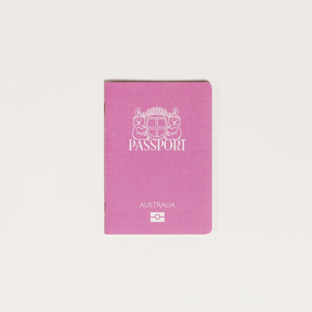 Teddy Bear Passports