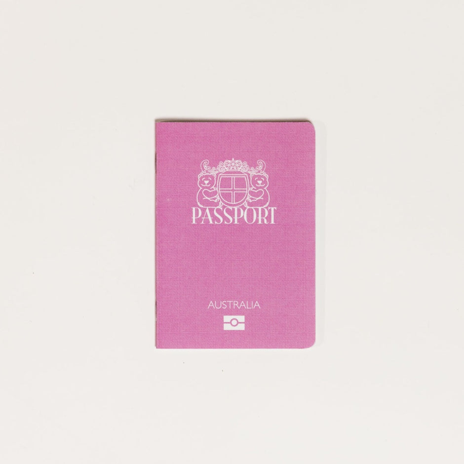 Teddy Bear Passports