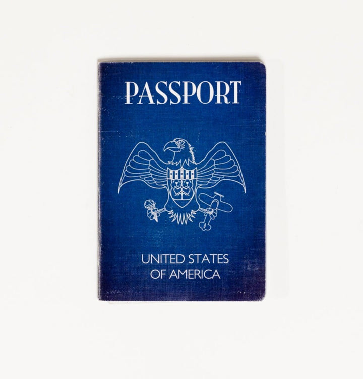 Teddy Bear Passports